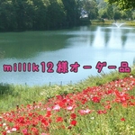 milllk12様オーダー品＊春クマさん