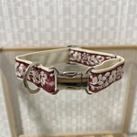 首輪（小、中型犬）