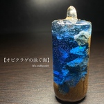 【オビクラゲの泳ぐ海】