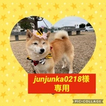 junjunka0218様専用　柴犬トートバッグ❣️