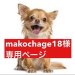 専用ページ