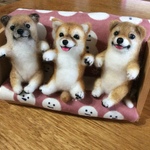 感謝価格で柴パピーズ❣️（送料無料）