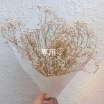 専用♡