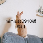 mimiusa0910様専用　いちごハーネス・花柄リード