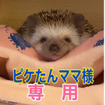 ピケたんママ様専用🍈