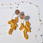  mimosa