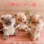 T様オーダー品𖡼.𖤣𖥧⚘ 猫ちゃん、ライオン赤ちゃん𖡼.𖤣𖥧⚘