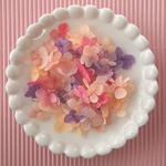 あじさいのドライフラワー③＜ミックス計100花＞