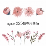 ✴︎✴︎ ayapon223様専用✴︎✴︎ ドライフラワーのスワッグブーケ