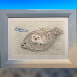 ハリネズミの絵🖼