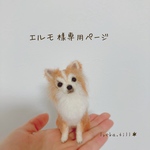 ＊オーダー品＊手乗りうちの子　レオちゃん