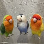 受注制作、足付きインコちゃん　(羊毛フェルトanhome)