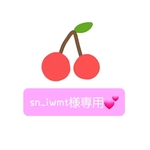 sn_iwmt様専用💕ネームタグオーダー×2