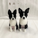 yomomachu様　愛犬うちの子マスコット　オーダー　羊毛フェルト