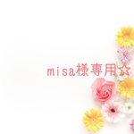☆misa様専用☆