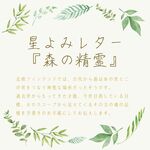 星よみレター「森の精霊」／魂の望みについて。前世から持ってきた才能と、今世で目指しているものをお伝えします。