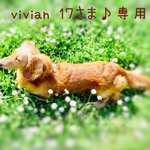 vivian17さま♪専用