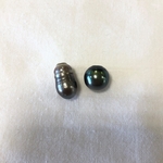 南洋黒蝶真珠　両穴　サークル　C（２個セット）