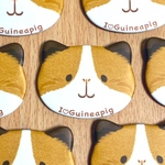 【New】モルフェイス缶バッジ