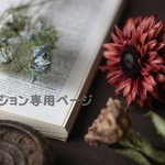 専用ページ（オプションページ）