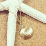 14kgf／Shell necklace