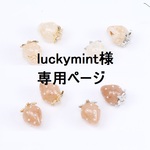 luckymint様の専用ページです。