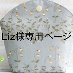 ポーチ　立体マスクケース