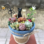 ★送料無料★♡そのまま飾れる♡リメ鉢♬仲良しネコちゃん♡多肉植物寄せ植え╰(*´︶`*)╯♡