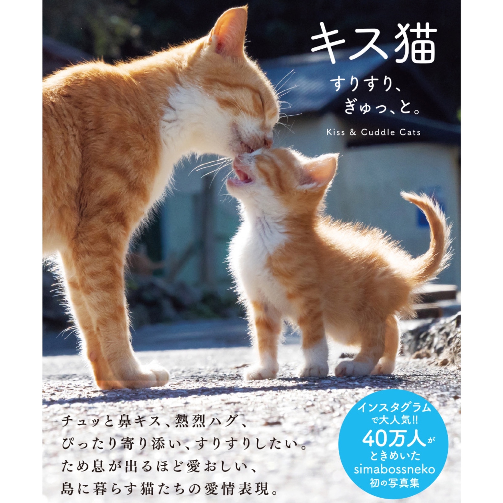 キス猫サイン本＆ポストカード11枚セット Photobook “Kiss and Cuddle