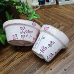 リメイク鉢~♡♥セット