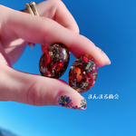 専用ページ⸜❤︎⸝‍【赤く燃える❤️‍🔥】金属アレルギー対応サージカルステンレスピアス、イヤリング可