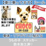 うちの子 乗ってます ステッカー シール IN CAR | ペット 犬 猫 写真で作ります オーダー