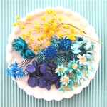 小花のドライフラワーセット＜ブルー系＞