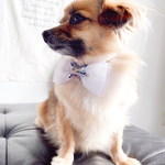 シフォン×ツイードリボンチョーカー🎀 犬用リボン　トリミング　キッズリボン　わんこバレッタ　大人かわいい　プチギフト　jdバレッタ　トップノットリボン　ベビーヘアクリップ　ワンコ用バレッタ