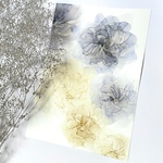 【送料無料】アルコールインクアート インテリア ポスター《elegantflower purple beige》