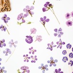 お花のフレークシール　violet era　[AY332]