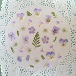 押し花素材454　ライトパープルの小花のセット　