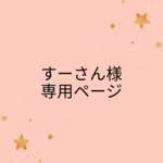 【1点物】原石〘アメジスト〙ピアス(チタン)