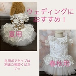 犬猫うさちゃん服　snow white可憐な純白ドレス