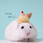 アイス帽子🍨
