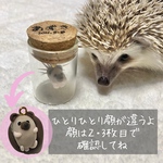 ハリネズミ  針入れ　針ケース　メモリアルケース