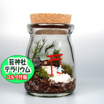 苔神社【苔テラリウム・手作りキット一式】コルク付きビン