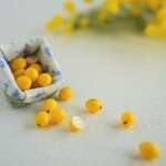 NEW 🍋バスケット入り ミニチュア レモン 