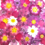 ♡new♡作家様必見♡押し花MIXセット♡押し花セット