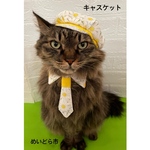 マーガレット柄キャスケット、猫ちゃんの帽子