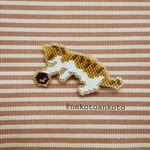 ボールに夢中な茶トラブローチ