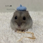 ベレー帽 オーダー用🎨