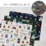 昆虫図鑑★給食用ナフキン〈生成り・緑・紺〉