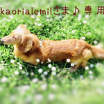kaorialemilさま♪専用