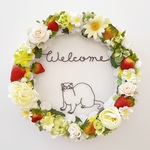 フェレットのWelcomeストロベリーリース